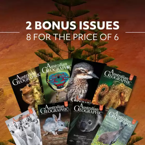 2 Bonus Issues