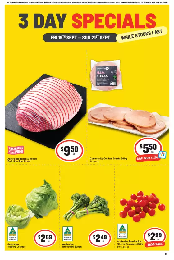 IGA 19/09