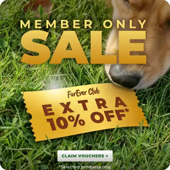 Budget Pet Products catalogue in Perth WA | Extra 10% Off | 2025-12-10T00:00:00.000Z - 2025-12-25T00:00:00.000Z