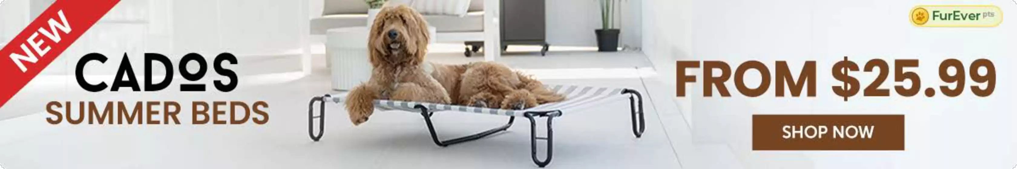 Budget Pet Products catalogue | New Deals! | 2025-12-17T00:00:00.000Z - 2026-01-04T00:00:00.000Z