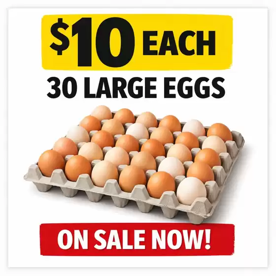 SAVEMORE catalogue in Bellevue WA | Mid Week Sale Is On | 2026-01-29T00:00:00.000Z - 2026-02-04T00:00:00.000Z