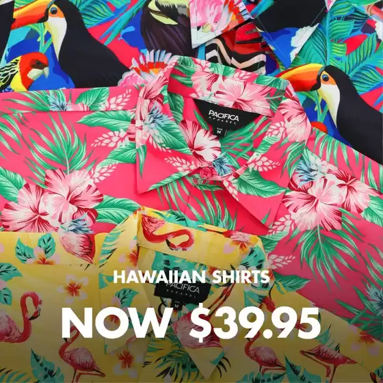 Deals & Offers