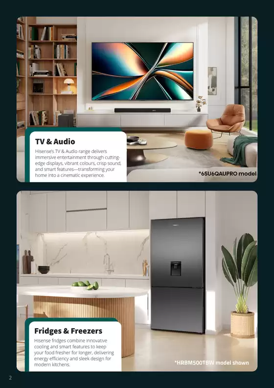 Bi-Rite Hisense Lookbook