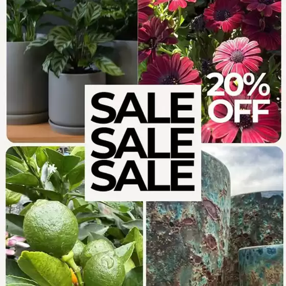 Burnetts On Barney catalogue | Sale 20% OFF | 2026-06-26T00:00:00.000Z - 2026-07-11T00:00:00.000Z