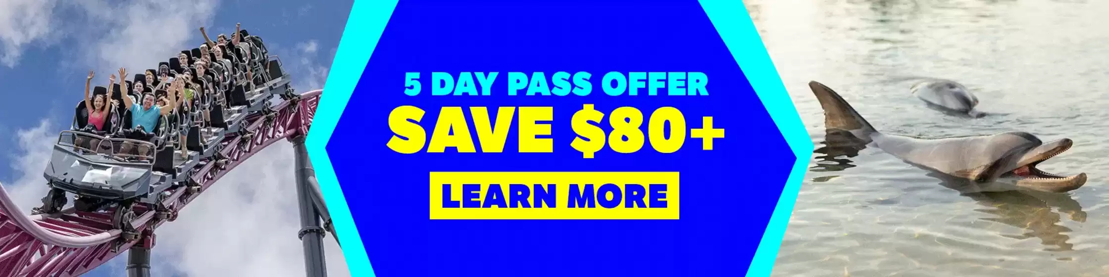 Sea World catalogue | 5 Day Pass Offer | 2026-08-26T00:00:00.000Z - 2026-09-13T00:00:00.000Z