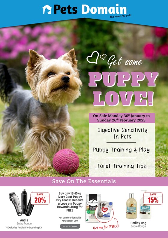 modbury reptile shop