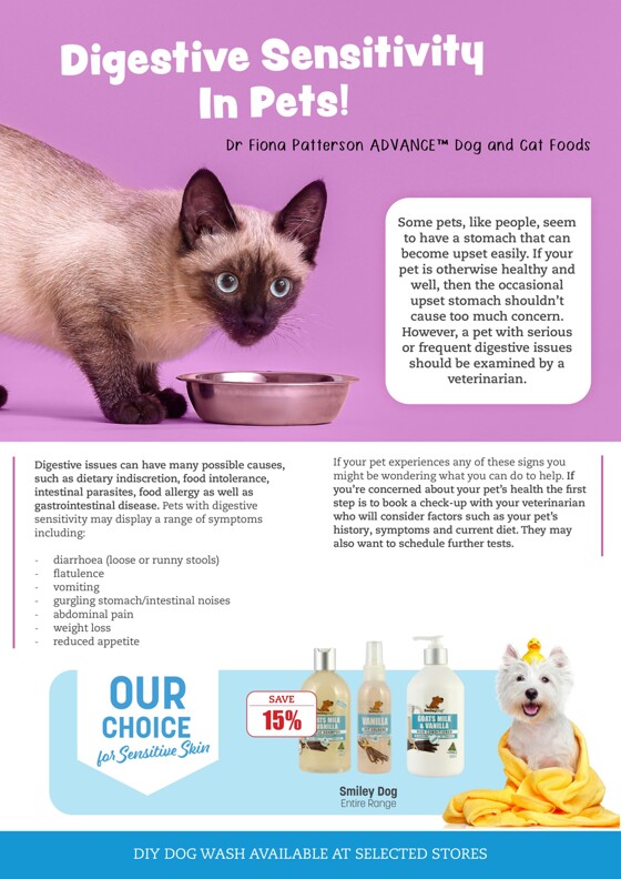 modbury reptile shop